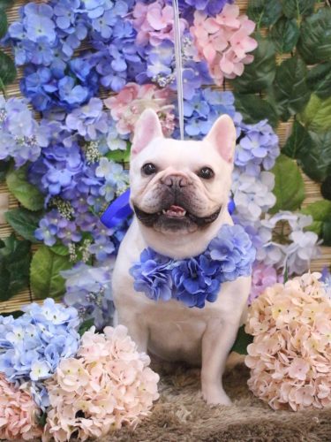 20250617まろんくん